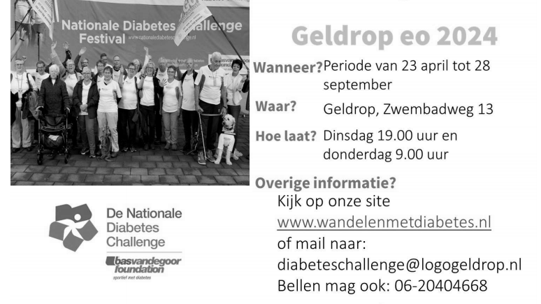 Flyer Diabetes Challenge